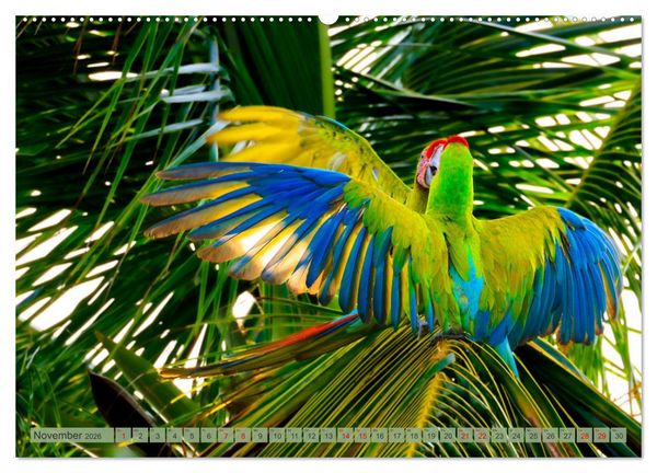 Produktbild: Tropenparadies zwischen Ozeanen Costa Rica (Wandkalender 2026 DIN A2 quer), CALVENDO Monatskalender