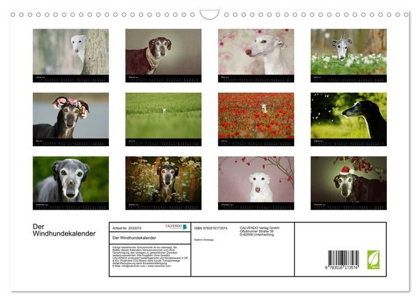 Produktbild: Der Windhundekalender (Wandkalender 2026 DIN A3 quer), CALVENDO Monatskalender