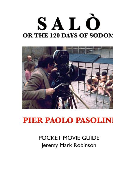 Produktbild: NATIVE AMERICAN SHORT STORIES