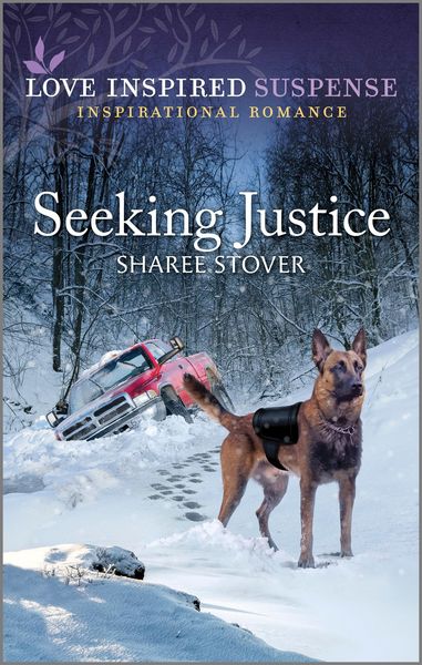 Produktbild: Seeking Justice