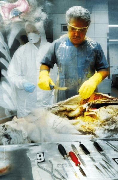 Produktbild: Mit kalter Hand