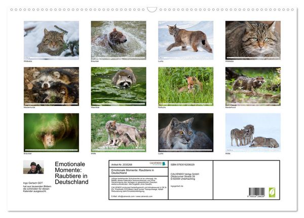 Produktbild: Emotionale Momente: Raubtiere in Deutschland (Wandkalender 2026 DIN A2 quer), CALVENDO Monatskalender