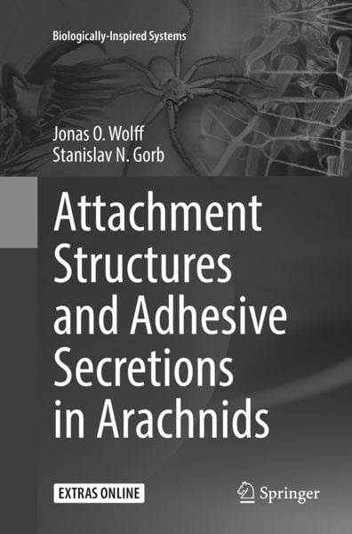 Produktbild: Attachment Structures and Adhesive Secretions in Arachnids