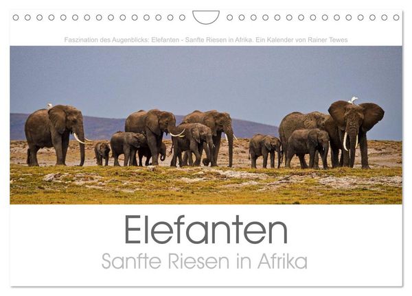 Produktbild: Elefanten - Sanfte Riesen in Afrika (Wandkalender 2026 DIN A4 quer), CALVENDO Monatskalender