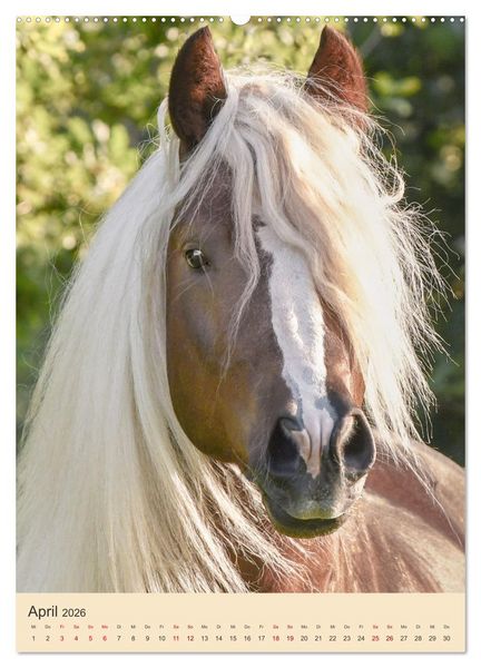 Produktbild: Schwarzw&auml;lder F&uuml;chse von Julia Hahn Photography (hochwertiger Premium Wandkalender 2026 DIN A2 hoch), Kunstdruck in Hochglanz