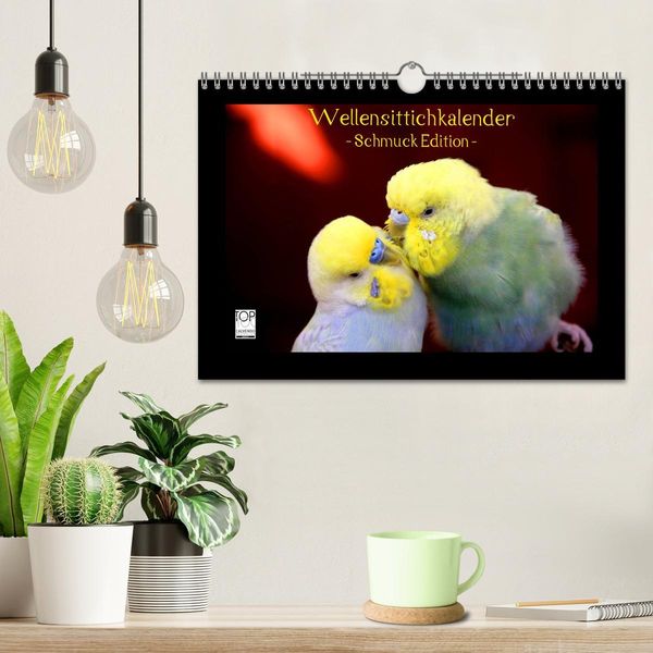 Produktbild: Wellensittichkalender - Schmuck Edition (Wandkalender 2026 DIN A4 quer), CALVENDO Monatskalender