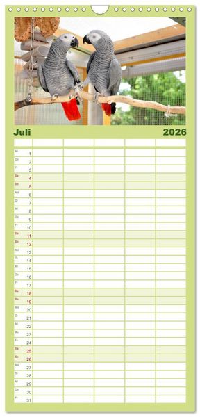 Produktbild: Familienplaner 2026 - Graupapageien zum Verlieben mit 5 Spalten (Wandkalender, 21 x 45 cm) CALVENDO