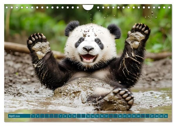 Produktbild: Plitsch, Platsch, tierisch nass (Wandkalender 2026 DIN A4 quer), CALVENDO Monatskalender