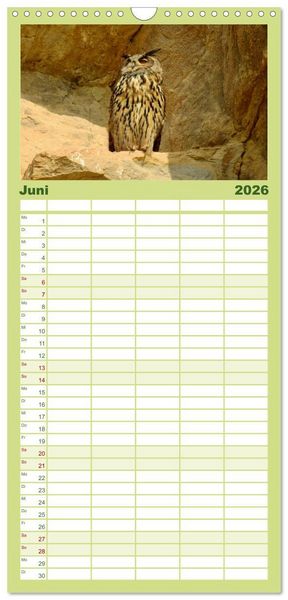 Produktbild: Familienplaner 2026 - Heimische V&ouml;gel mit 5 Spalten (Wandkalender, 21 x 45 cm) CALVENDO