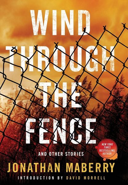 Produktbild: Wind Through the Fence: And Other Stories