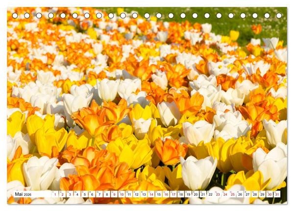 Produktbild: F&uuml;rstenfeldbruck - Streifzug durch Natur und Stadt (Tischkalender 2026 DIN A5 quer), CALVENDO Monatskalender