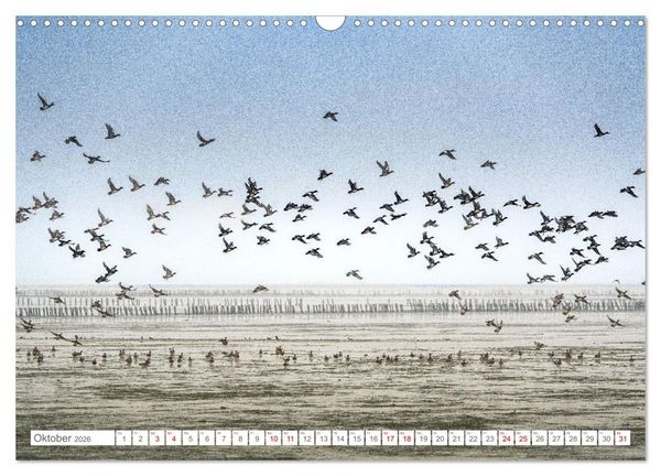 Produktbild: Naturerlebnis R&oslash;m&oslash; (Wandkalender 2026 DIN A3 quer), CALVENDO Monatskalender