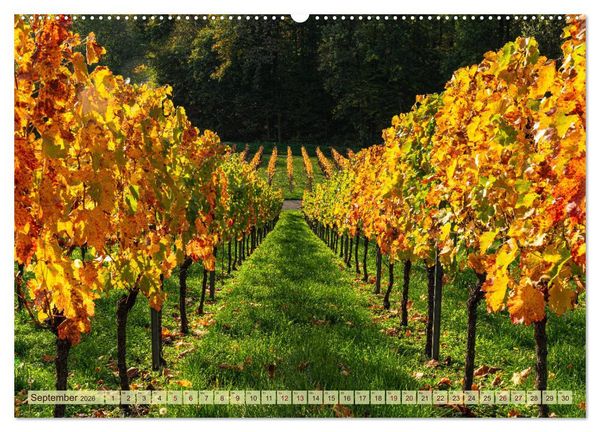 Produktbild: Farbenpr&auml;chtige Weinberge (Wandkalender 2026 DIN A2 quer), CALVENDO Monatskalender