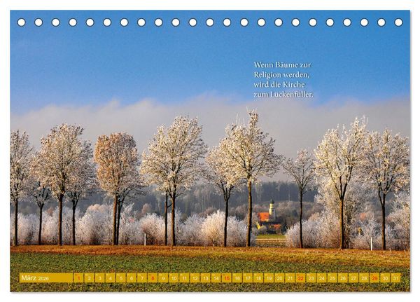 Produktbild: Rollentausch &ndash; Bebilderte Wortspielereien (Tischkalender 2026 DIN A5 quer), CALVENDO Monatskalender