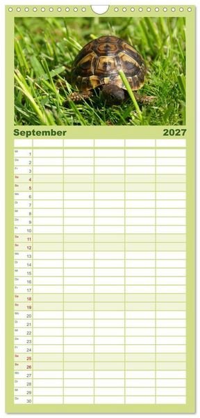 Produktbild: Familienplaner 2027 - Das Leben der Schildkr&ouml;ten mit 5 Spalten (Wandkalender, 21 x 45 cm) CALVENDO