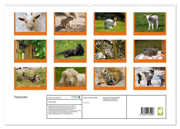 Produktbild: Tierkinder (hochwertiger Premium Wandkalender 2026 DIN A2 quer), Kunstdruck in Hochglanz