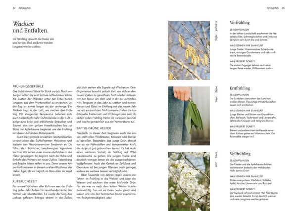 Produktbild: Kruut - Wildpflanzen im Alltag