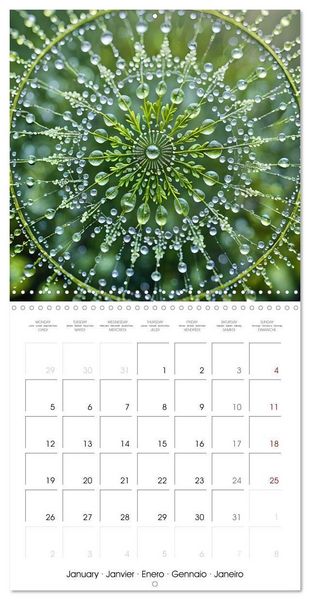 Produktbild: Mandalas of Mother Earth (Wall Calendar 2026 12 &times; 12 Inch) CALVENDO 12 Month Wall Calendar