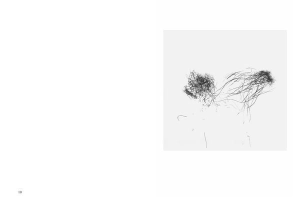 Produktbild: Scores and Sculptures