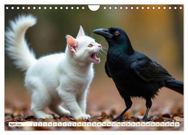 Produktbild: Ungew&ouml;hnliche Tierfreundschaften (Wandkalender 2026 DIN A4 quer), CALVENDO Monatskalender