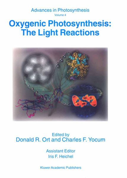 Produktbild: Oxygenic Photosynthesis: The Light Reactions