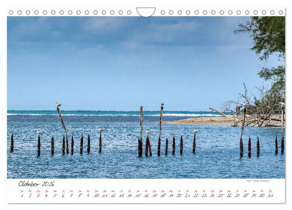 Produktbild: Natur pur, Costa Rica (Wandkalender 2026 DIN A4 quer), CALVENDO Monatskalender
