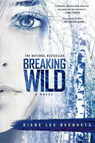 Produktbild: Breaking Wild