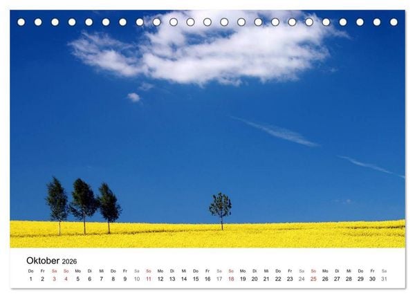 Produktbild: Rapsodie (Tischkalender 2026 DIN A5 quer), CALVENDO Monatskalender