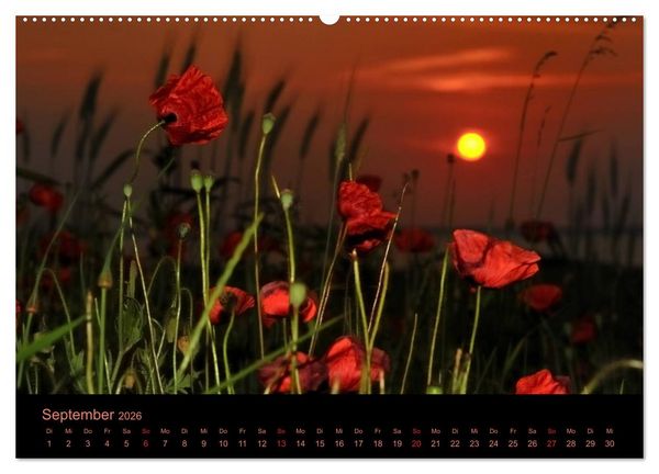 Produktbild: Sonnenuntergang (Wandkalender 2026 DIN A2 quer), CALVENDO Monatskalender