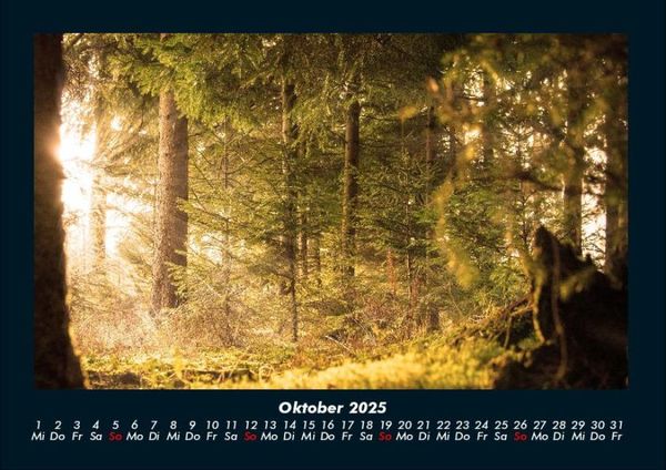 Produktbild: Waldzauber 2025 Fotokalender DIN A4