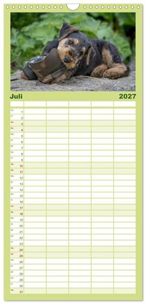 Produktbild: Familienplaner 2027 - Airedale-Terrier, was sonst! mit 5 Spalten (Wandkalender, 21 x 45 cm) CALVENDO