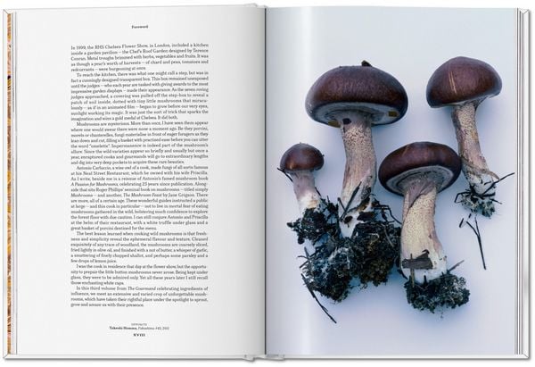 Produktbild: The Gourmand's Mushroom