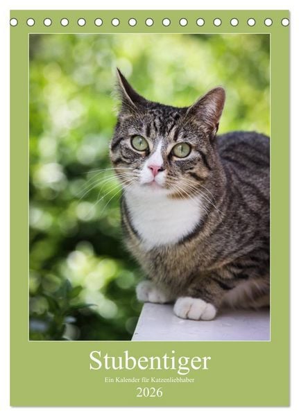 Produktbild: Stubentiger (Tischkalender 2026 DIN A5 hoch), CALVENDO Monatskalender