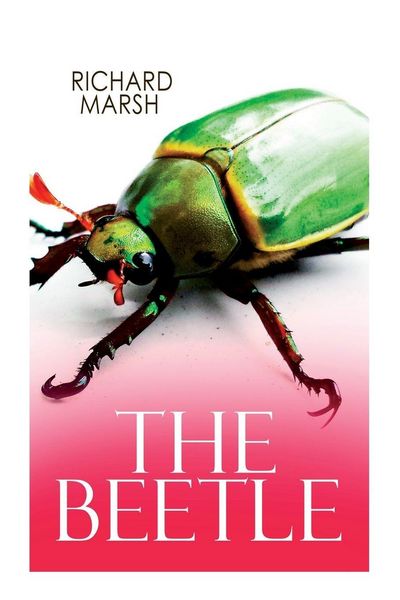 Produktbild: The Beetle