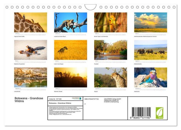 Produktbild: Botswana - Grandiose Wildnis (Wandkalender 2026 DIN A4 quer), CALVENDO Monatskalender
