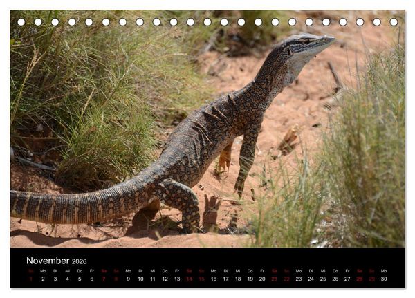 Produktbild: Australian Wildlife (Tischkalender 2026 DIN A5 quer), CALVENDO Monatskalender