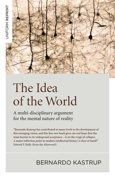 Produktbild: The Idea of the World
