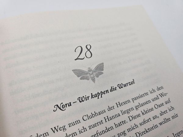 Wen das Licht erwählt