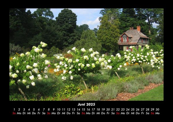 Produktbild: Blumenkalender 2025 Fotokalender DIN A3
