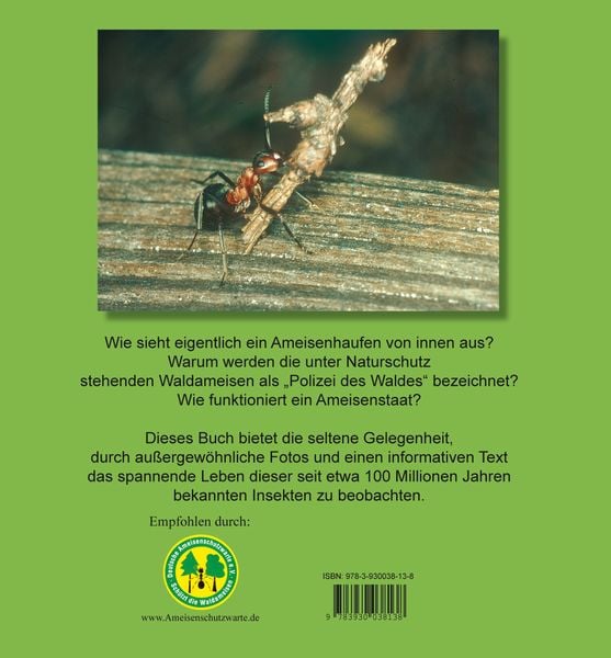 Produktbild: Der Ameisenstaat