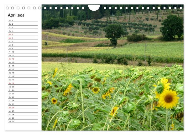Produktbild: Camino di Assisi - Franziskusweg (Wandkalender 2026 DIN A4 quer), CALVENDO Monatskalender