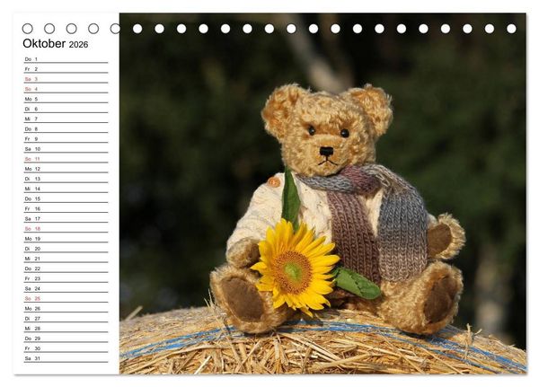 Produktbild: Teddy unterwegs (Tischkalender 2026 DIN A5 quer), CALVENDO Monatskalender