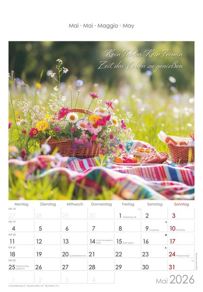 Auszeit für die Seele 2026 - Bildkalender 23,7x34 cm - Kalender mit Platz für Notizen - mit vielen Zusatzinformationen - Wandkalender - Alpha Edition