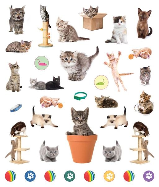 Produktbild: Eyelike Stickers: Kittens