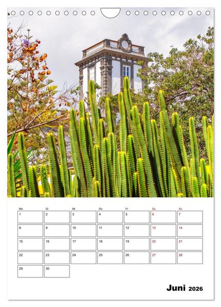 Produktbild: Las Palmas - ein traumhaftes Reiseziel (Wandkalender 2026 DIN A4 hoch), CALVENDO Monatskalender