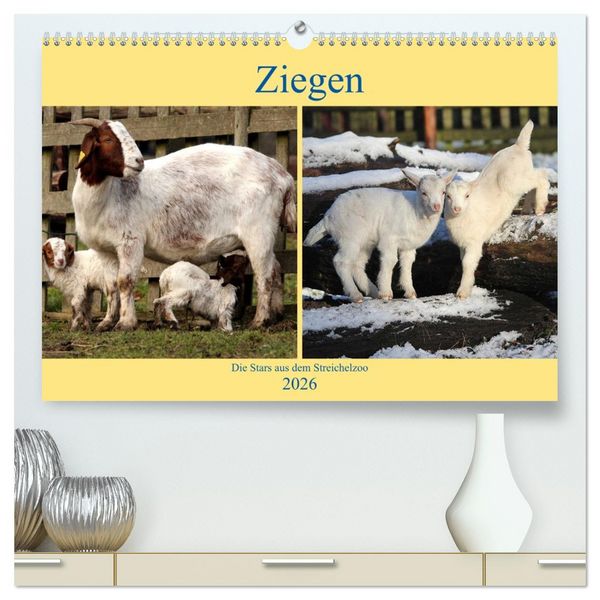 Ziegen - Die Stars aus dem Streichelzoo (hochwertiger Premium Wandkalender 2026 DIN A2 quer), Kunstdruck in Hochglanz
