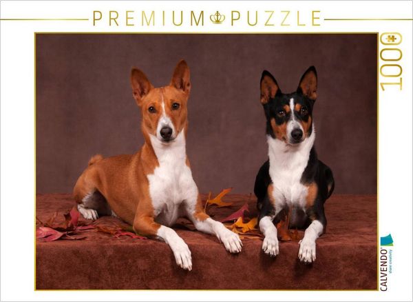 CALVENDO Puzzle Ein Motiv aus dem Kalender Faszinierende Basenjis | 1000 Teile Lege-Größe 64x48cm Foto-Puzzle für glückliche Stunden