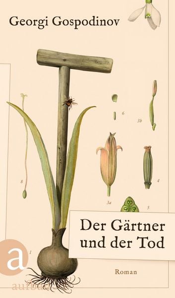 Der Gärtner und der Tod, Gebundene Ausgabe von Georgi Gospodinov, Aufbau, 9783351042615
