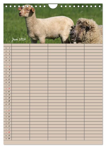 Produktbild: Der bel&auml;mmerte Familienplaner (Wandkalender 2026 DIN A4 hoch), CALVENDO Monatskalender