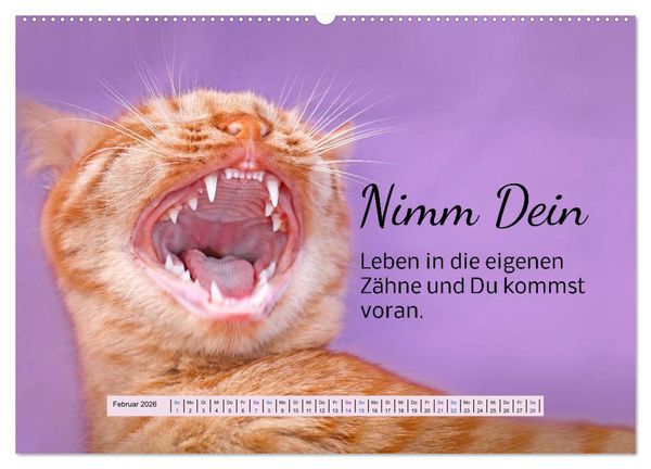 Produktbild: Der Spruchkalender - freiheraus und witzig (Wandkalender 2026 DIN A2 quer), CALVENDO Monatskalender